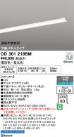 OD301219BM