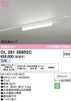 OL291569R2C