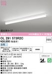 OL291573R2C