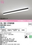 OL291576R2B