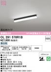 OL291578R1B