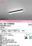 OL291578R2D