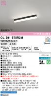 OL291578R2M