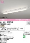 OL291567R1E