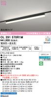 OL291570R1M
