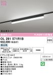 OL291571R1B