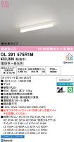OL291575R1M