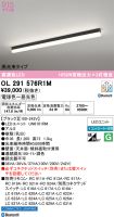 OL291576R1M
