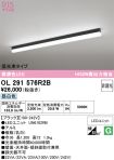 OL291576R2B