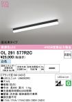 OL291577R2C