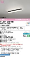 OL291578R1M