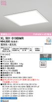XL501019BMR
