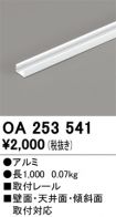 OA253541