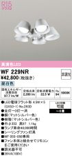 WF229NR