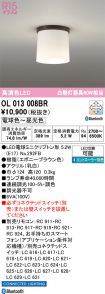 OL013008BR
