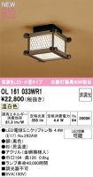 OL161033WR1