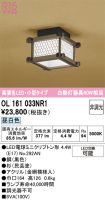 OL161033NR1