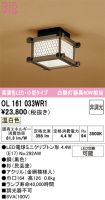 OL161033WR1