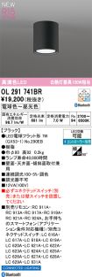 OL291741BR