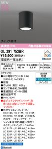 OL291753BR