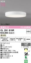 OL291819R