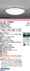 OL251170BRE
