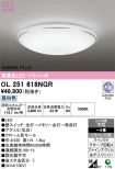 OL251618NGR