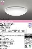 OL251823GR