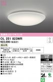 OL251823WR
