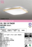OL291017NGR