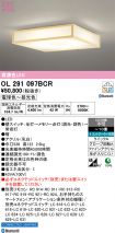 OL291097BCR