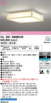 OL291098BCR