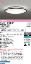 OL291318BCR