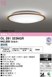 OL291323NGR