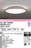 OL291324GR