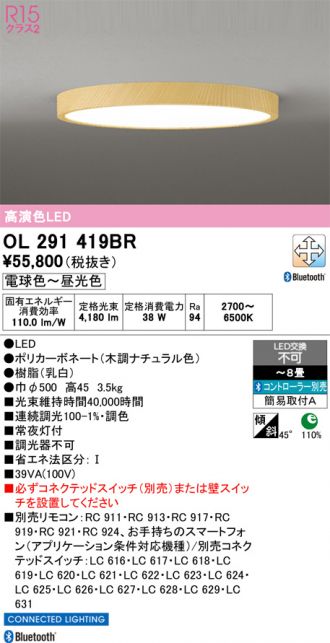 OL291419BR