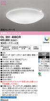 OL291496CR