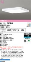 OL291507BR