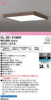 OL291519BR