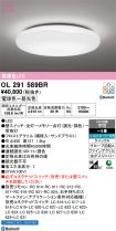OL291589BR