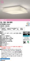 OL291591BR