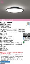 OL291619BR