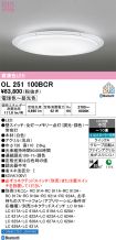 OL251100BCR