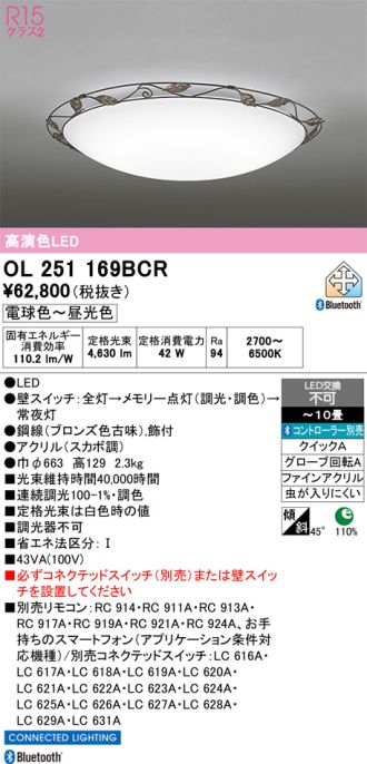 OL251169BCR