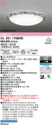 OL251170BRE