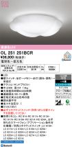 OL251251BCR