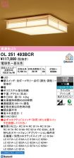 OL251493BCR