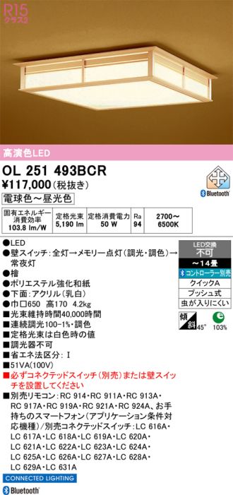 OL251493BCR