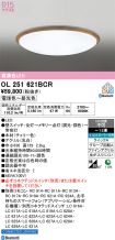 OL251621BCR