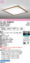 OL251628BCR